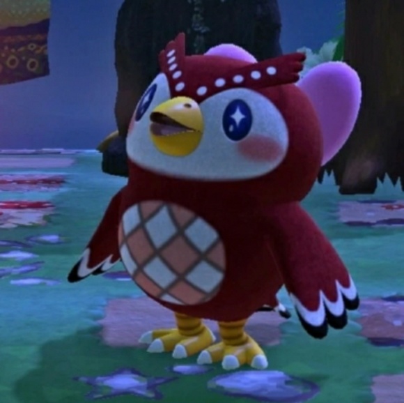 Meet your Posher, Anita - Picture 1 of 1